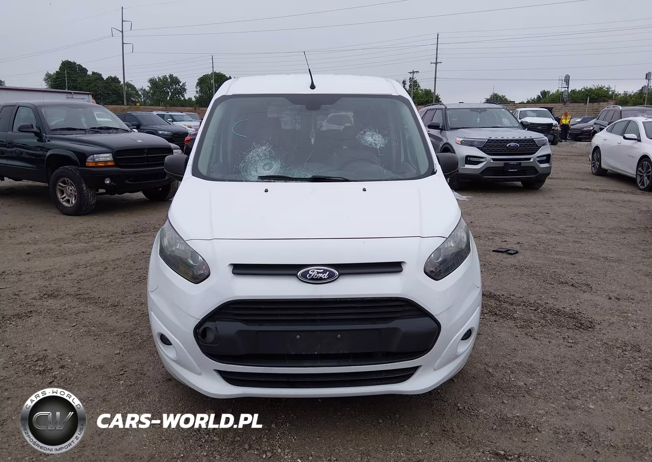 2015 Ford Transit Connect Xlt VIN:NM0GS9F74F1183226 - 12