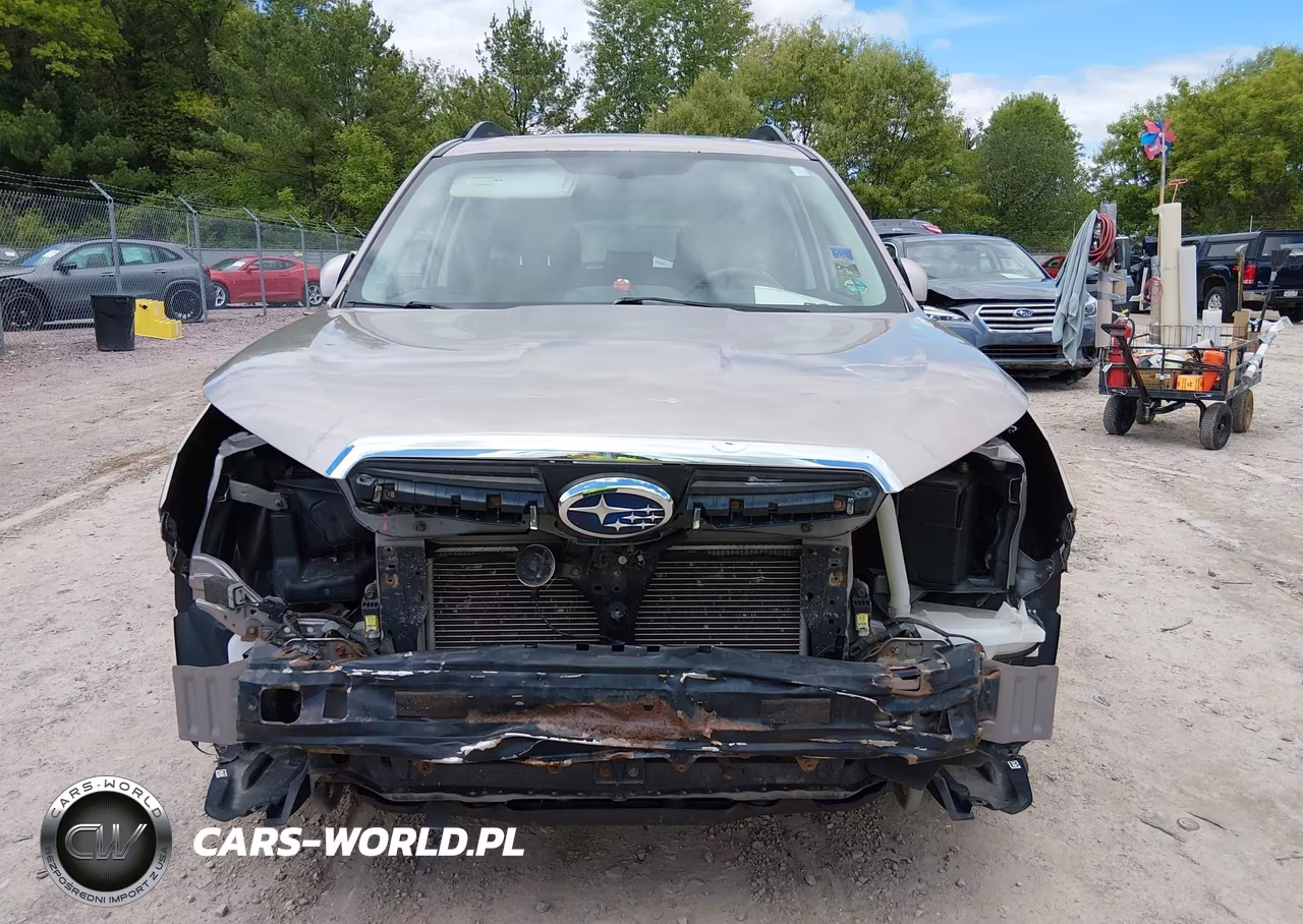 2015 Subaru Forester 2.5I Premium VIN:JF2SJADC8FH497102 - 13
