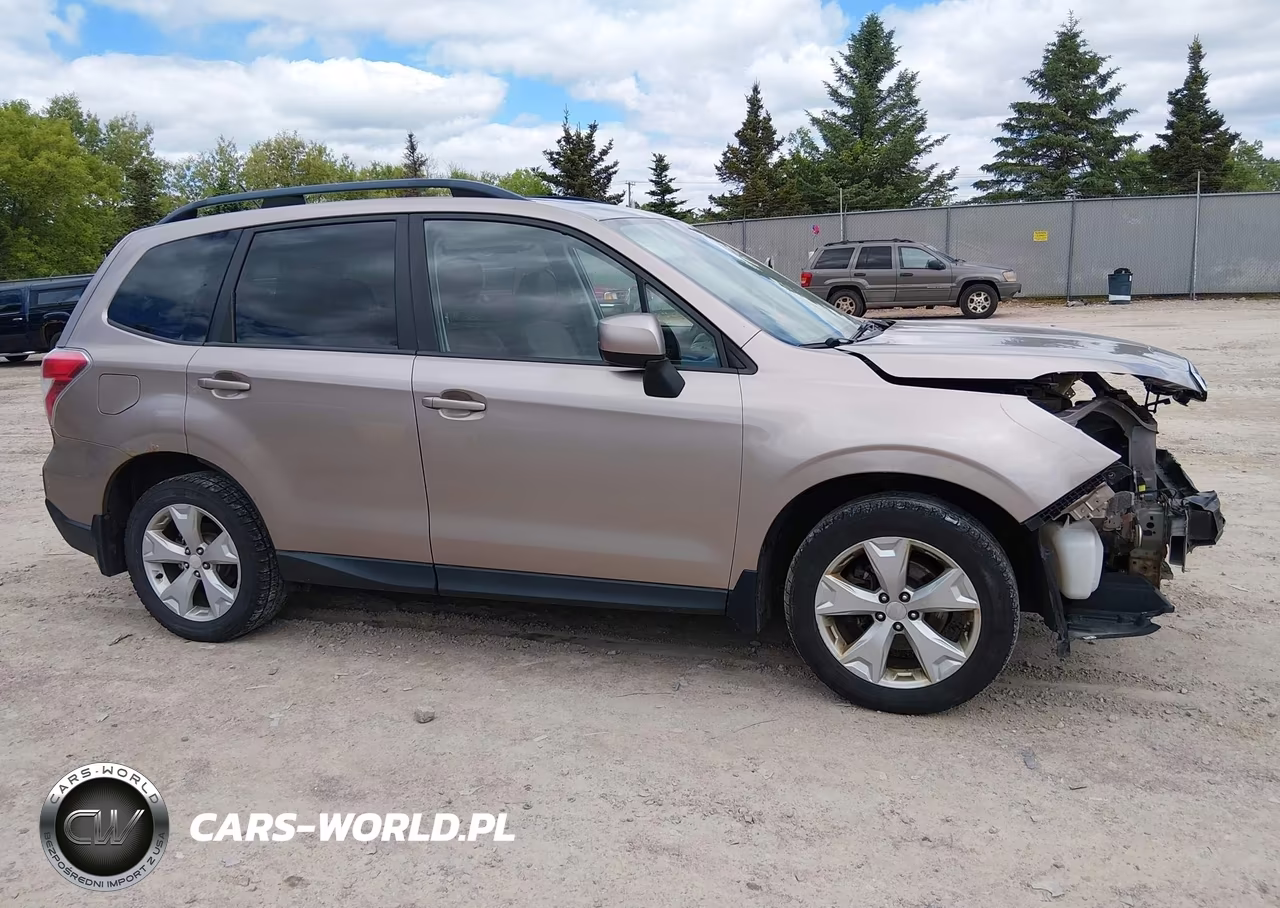 2015 Subaru Forester 2.5I Premium VIN:JF2SJADC8FH497102 - 14