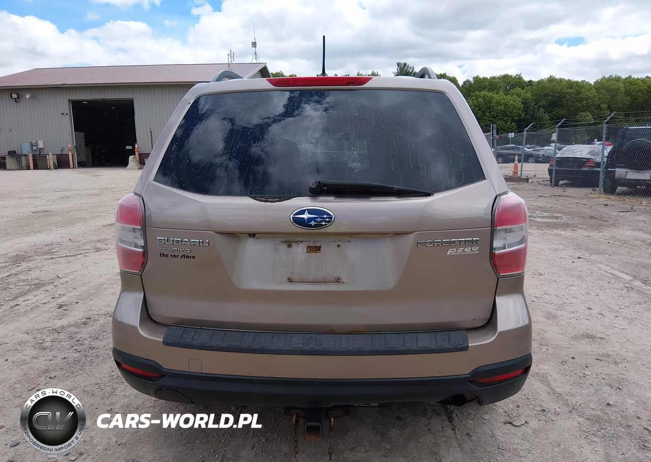 2015 Subaru Forester 2.5I Premium VIN:JF2SJADC8FH497102 - 17
