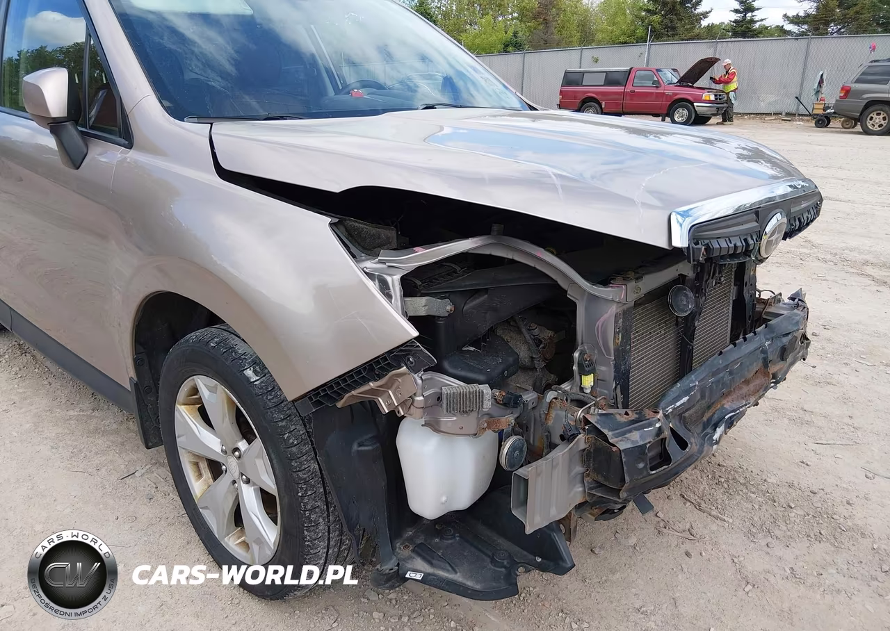 2015 Subaru Forester 2.5I Premium VIN:JF2SJADC8FH497102 - 18