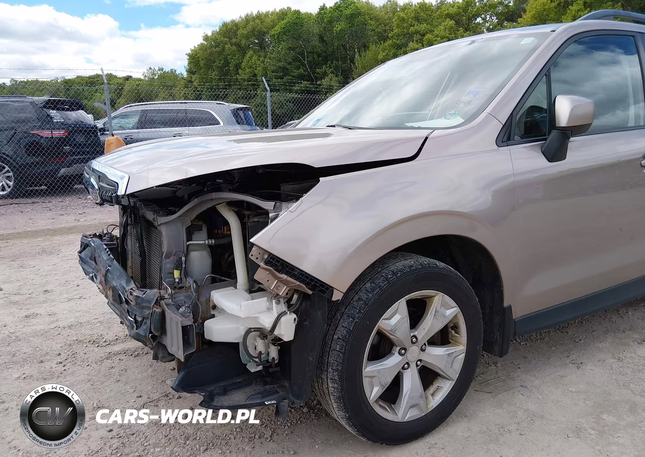 2015 Subaru Forester 2.5I Premium VIN:JF2SJADC8FH497102 - 19
