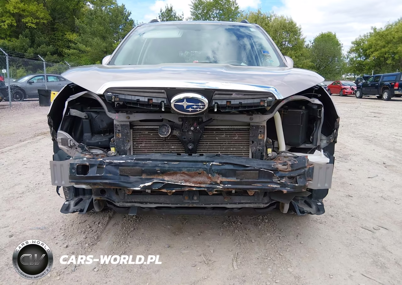 2015 Subaru Forester 2.5I Premium VIN:JF2SJADC8FH497102 - 6