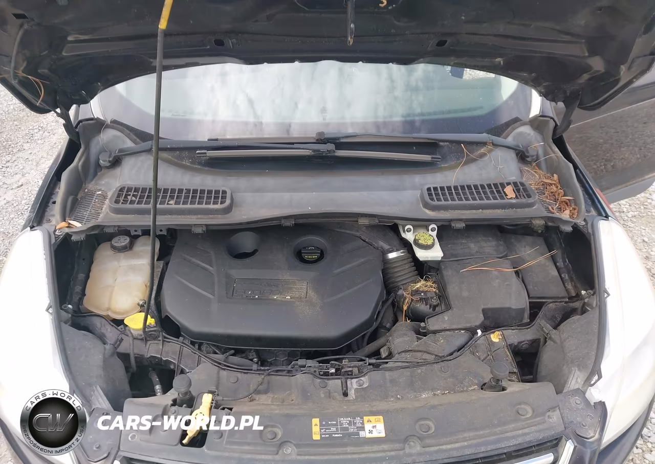 2013 Ford Escape Sel VIN:1FMCU0H94DUB22584 - 10