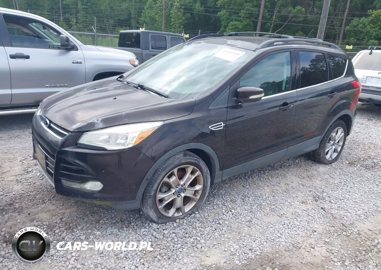 2013 Ford Escape Sel VIN:1FMCU0H94DUB22584 - 2