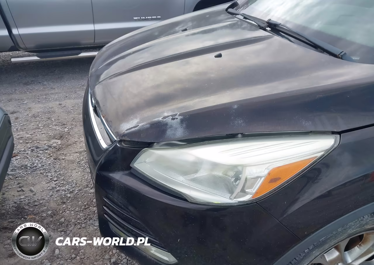 2013 Ford Escape Sel VIN:1FMCU0H94DUB22584 - 6