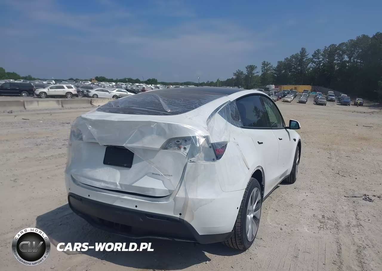 2022 Tesla Model Y Long Range Dual Motor All-Wheel Drive VIN:7SAYGDEE5NA009523 - 4