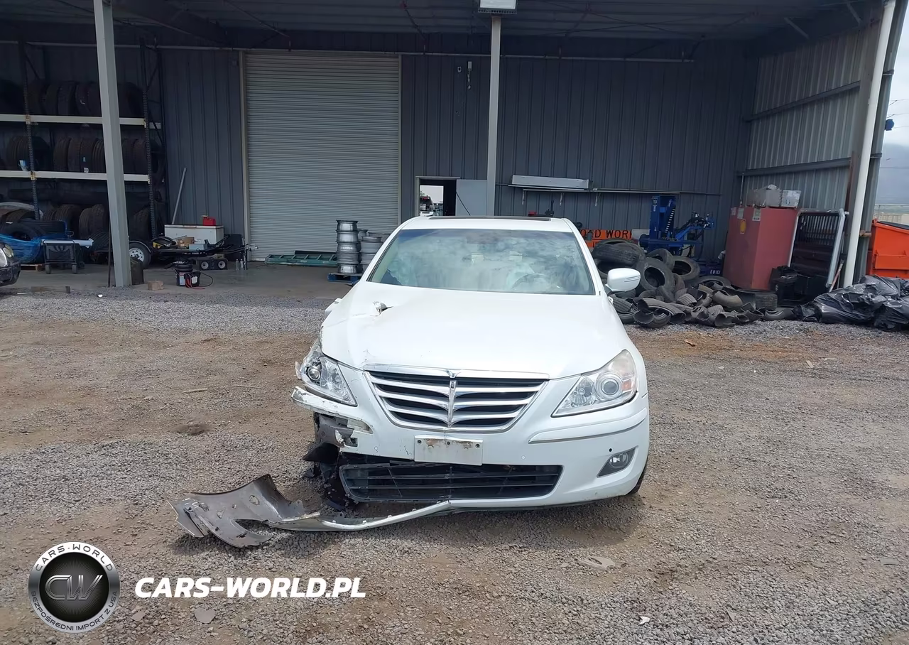 2009 Hyundai Genesis 4.6 VIN:KMHGC46F49U042228 - 12