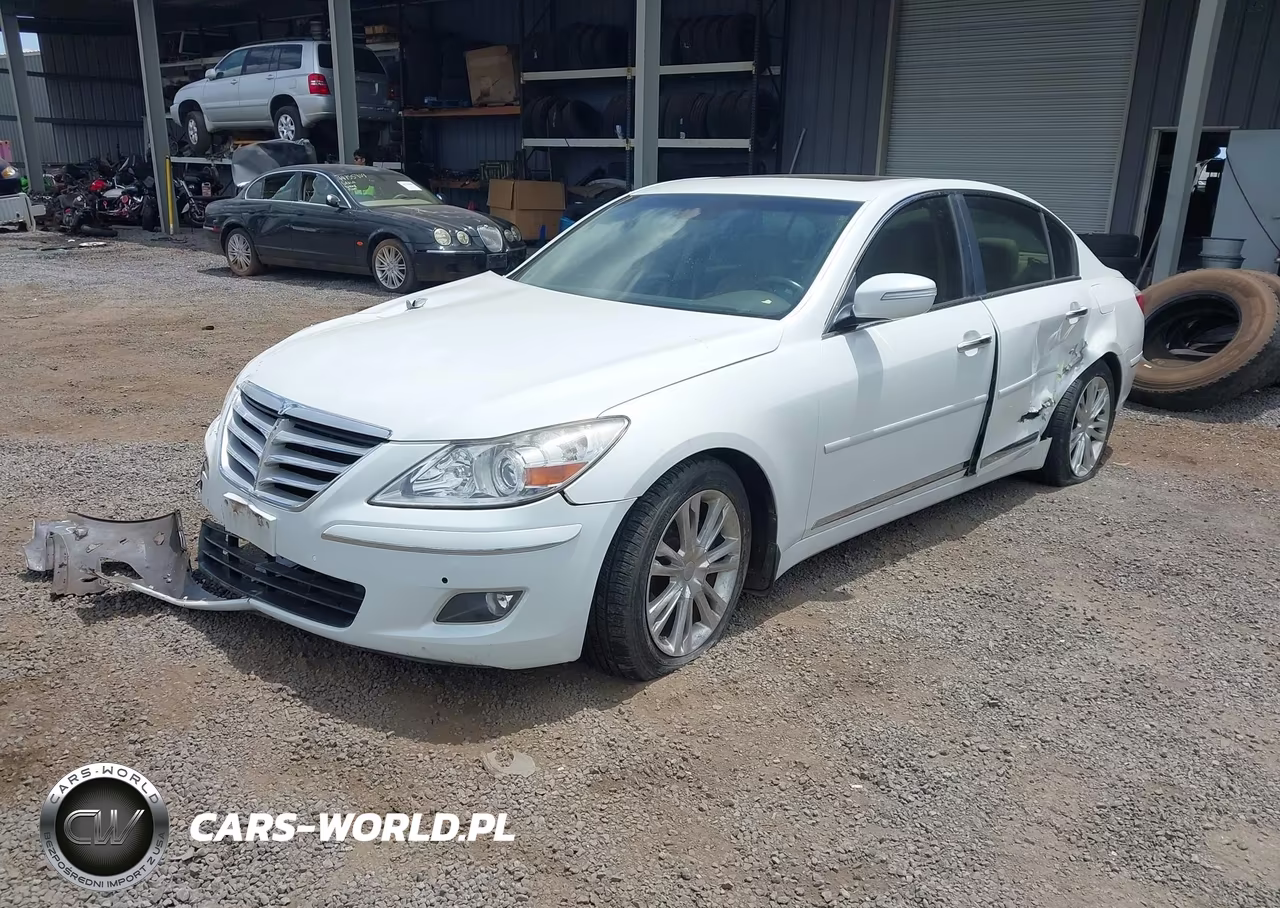 2009 Hyundai Genesis 4.6 VIN:KMHGC46F49U042228 - 2