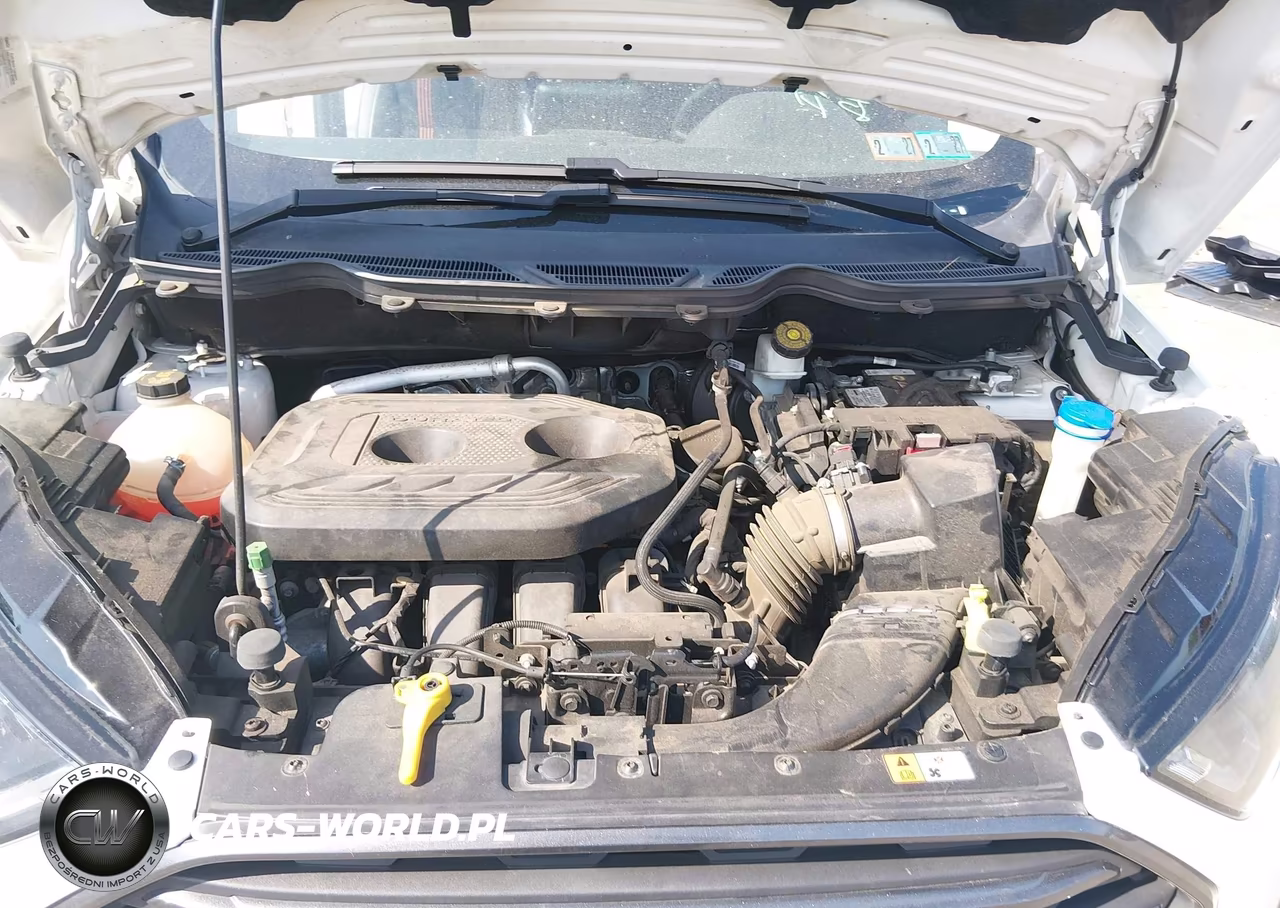 2018 Ford Ecosport Ses VIN:MAJ6P1CL4JC179036 - 10