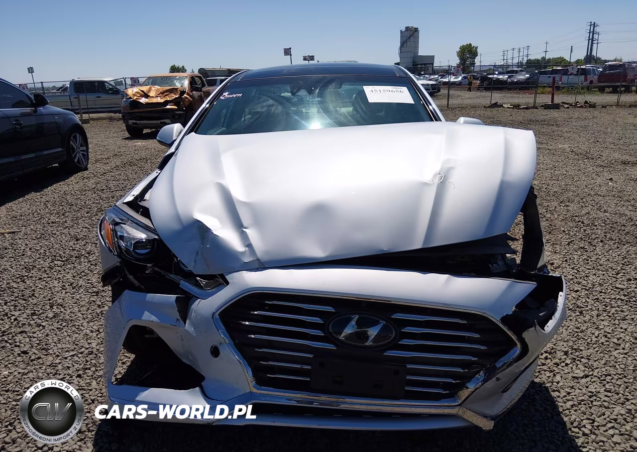 2019 Hyundai Sonata Hybrid Limited VIN:KMHE34L38KA091098 - 12
