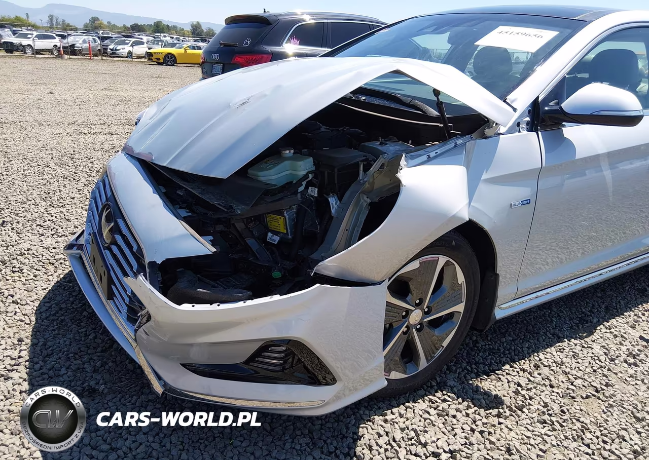 2019 Hyundai Sonata Hybrid Limited VIN:KMHE34L38KA091098 - 17