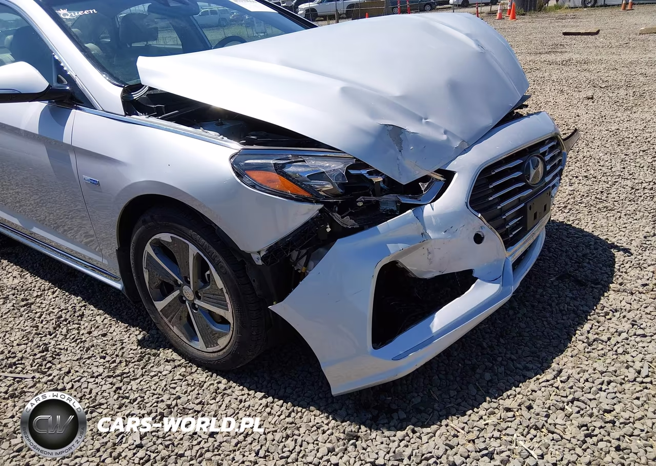 2019 Hyundai Sonata Hybrid Limited VIN:KMHE34L38KA091098 - 18