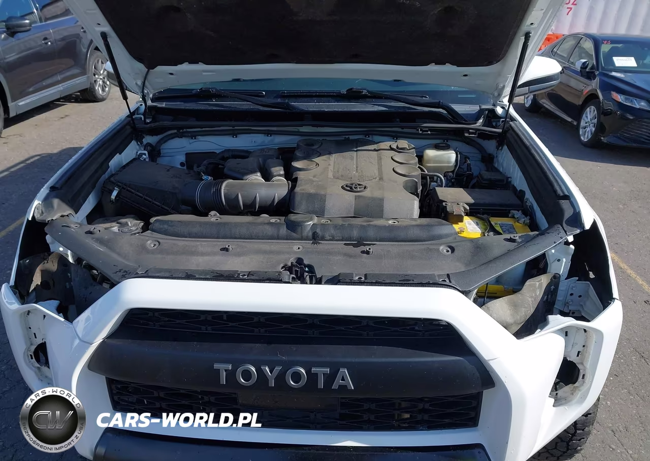 2020 Toyota 4Runner Trd Pro VIN:JTEBU5JR1L5794386 - 10