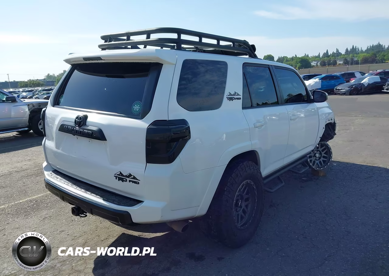 2020 Toyota 4Runner Trd Pro VIN:JTEBU5JR1L5794386 - 4
