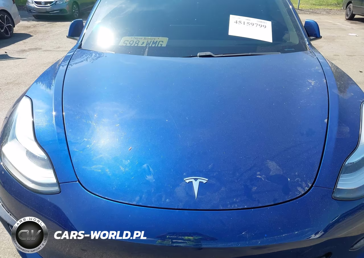2020 Tesla Model 3 Long Range Dual Motor All-Wheel Drive VIN:5YJ3E1EB8LF638405 - 10