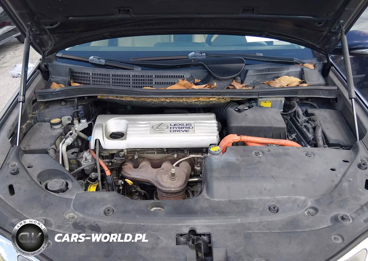 2010 Lexus Hs 250H Premium VIN:JTHBB1BA4A2023672 - 10