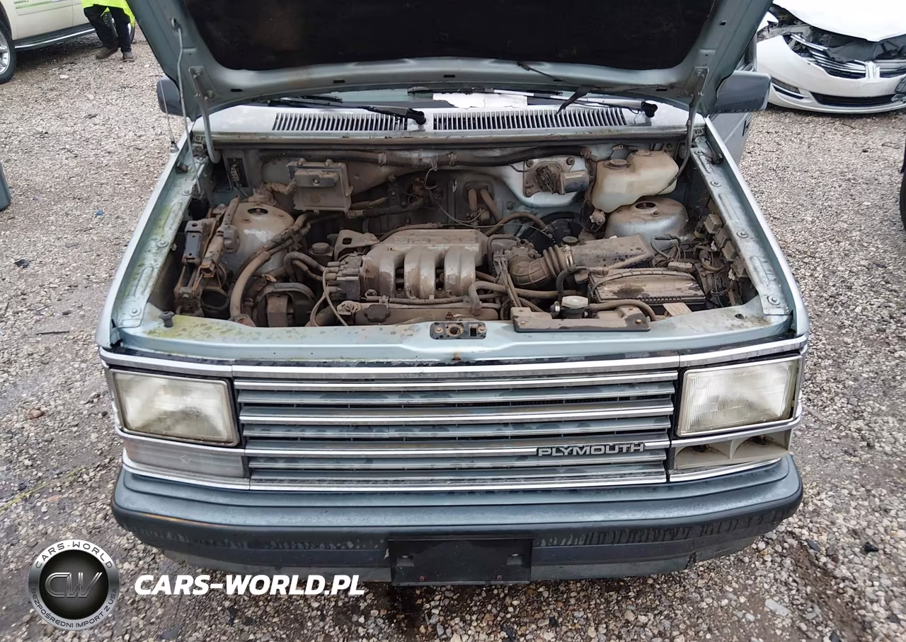 1990 Plymouth Grand Voyager Le VIN:1P4FH54R8LX211849 - 10