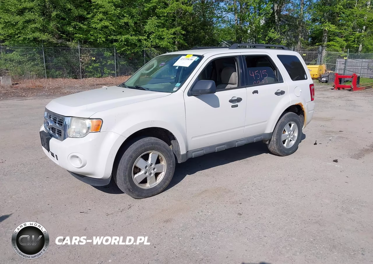 2010 Ford Escape Xlt VIN:1FMCU0D70AKD09011 - 2