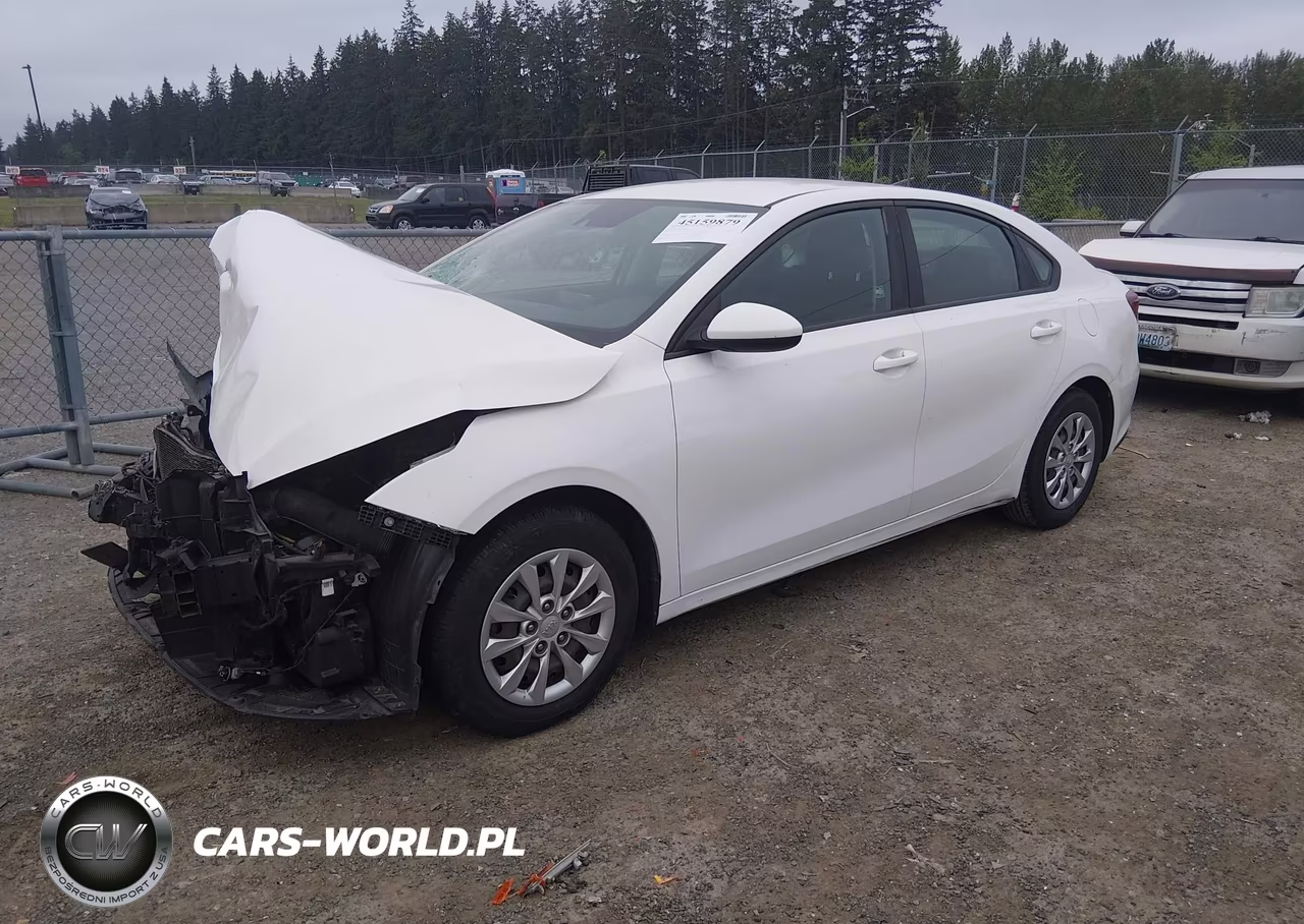 2019 Kia Forte Fe VIN:3KPF24AD8KE099934 - 2