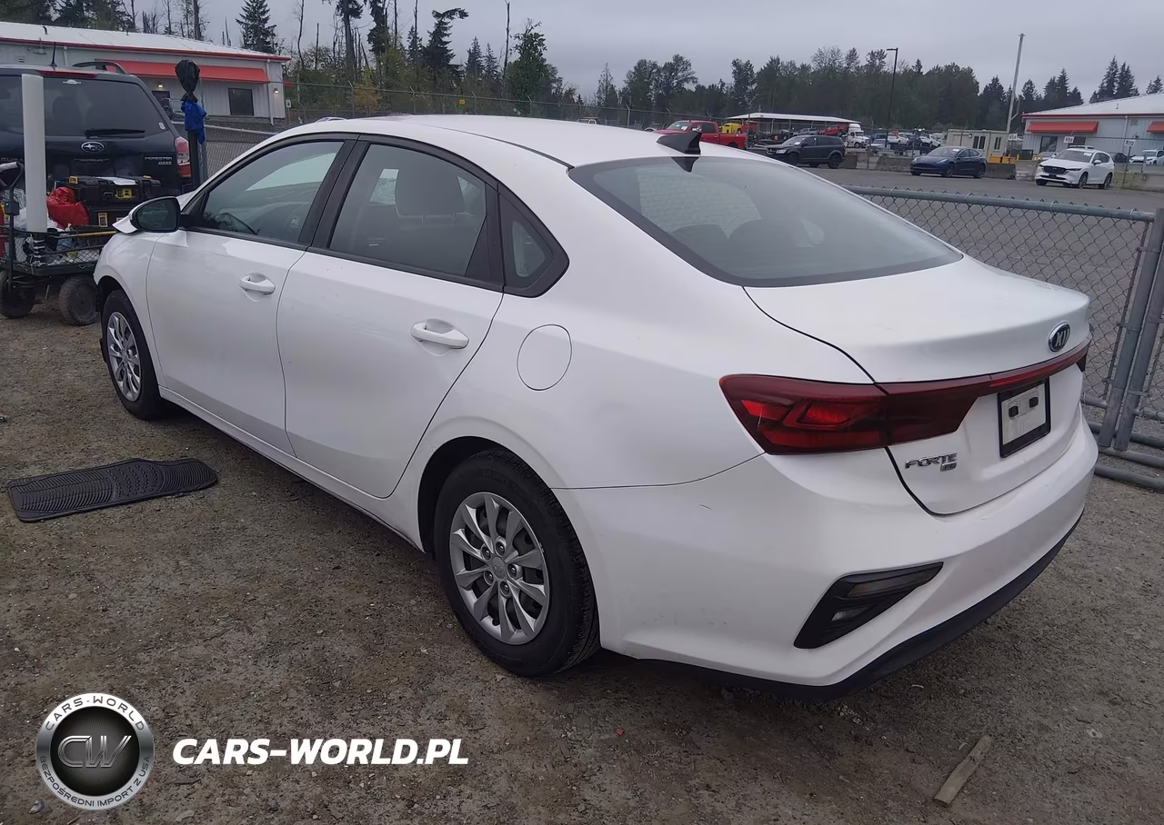 2019 Kia Forte Fe VIN:3KPF24AD8KE099934 - 3