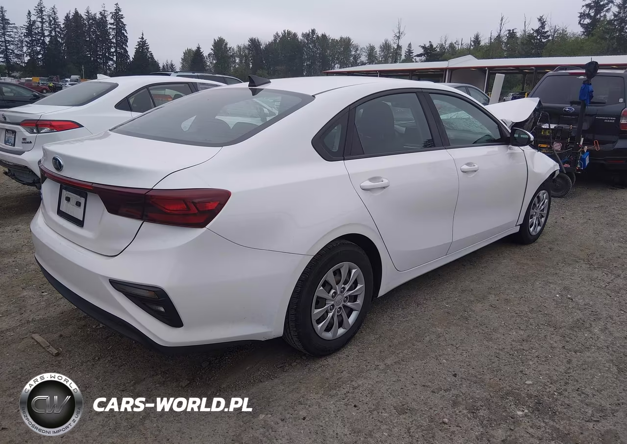 2019 Kia Forte Fe VIN:3KPF24AD8KE099934 - 4