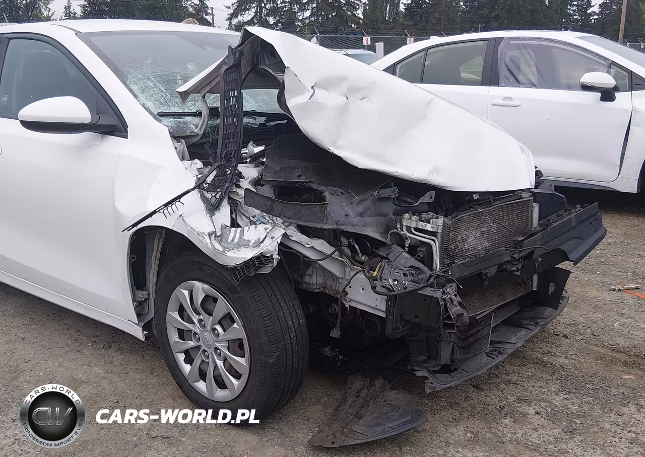 2019 Kia Forte Fe VIN:3KPF24AD8KE099934 - 6
