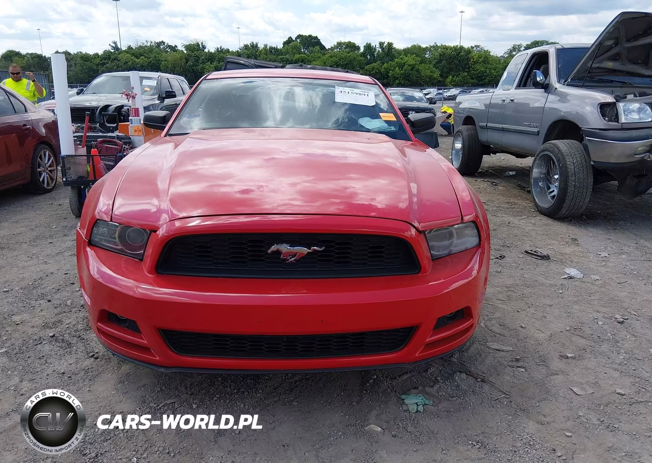 FORD MUSTANG VIN:1ZVBP8AM6D5216235 - 12