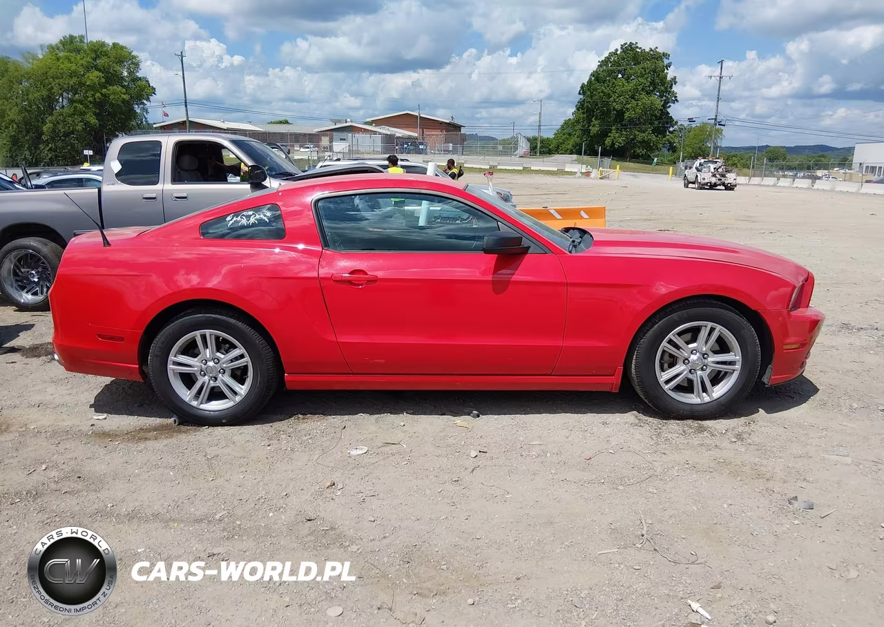 FORD MUSTANG VIN:1ZVBP8AM6D5216235 - 13