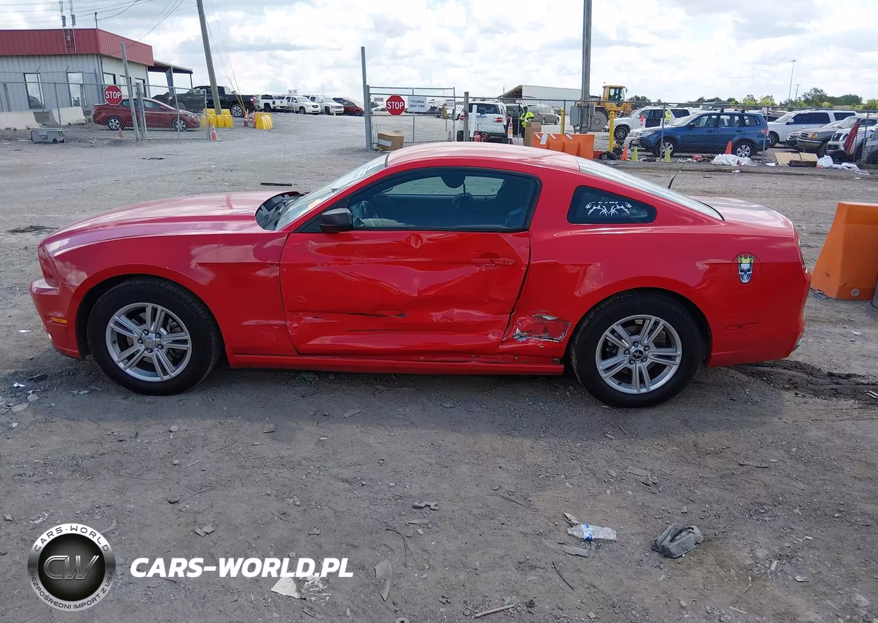 FORD MUSTANG VIN:1ZVBP8AM6D5216235 - 14