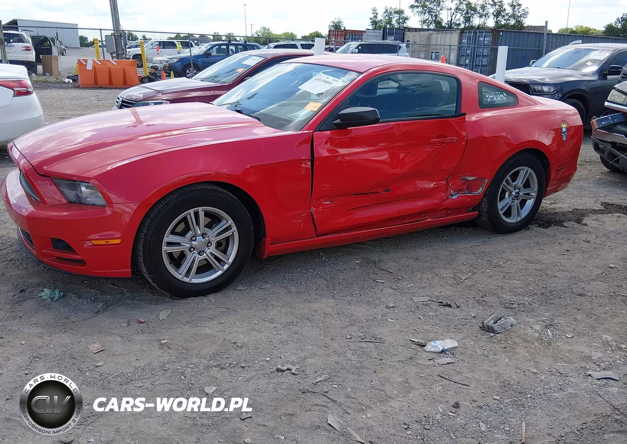 FORD MUSTANG VIN:1ZVBP8AM6D5216235 - 2