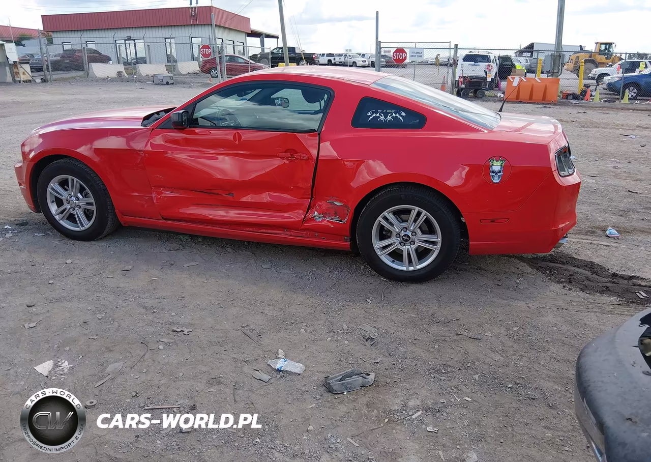 FORD MUSTANG VIN:1ZVBP8AM6D5216235 - 3