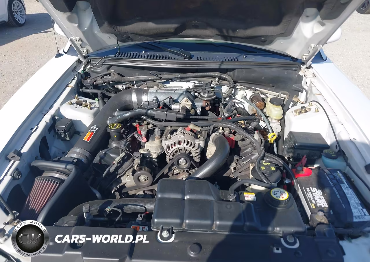2004 Ford Mustang Gt VIN:1FAFP42X84F150552 - 10
