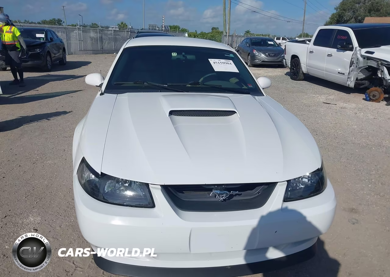 2004 Ford Mustang Gt VIN:1FAFP42X84F150552 - 12