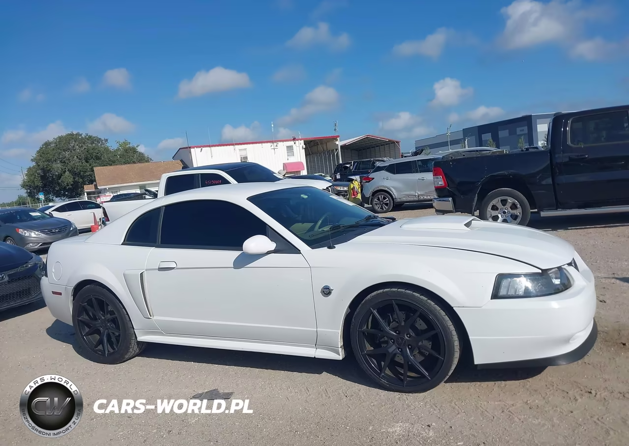 2004 Ford Mustang Gt VIN:1FAFP42X84F150552 - 13