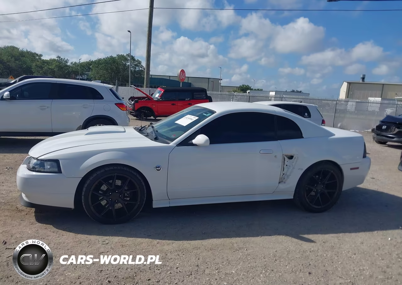 2004 Ford Mustang Gt VIN:1FAFP42X84F150552 - 14