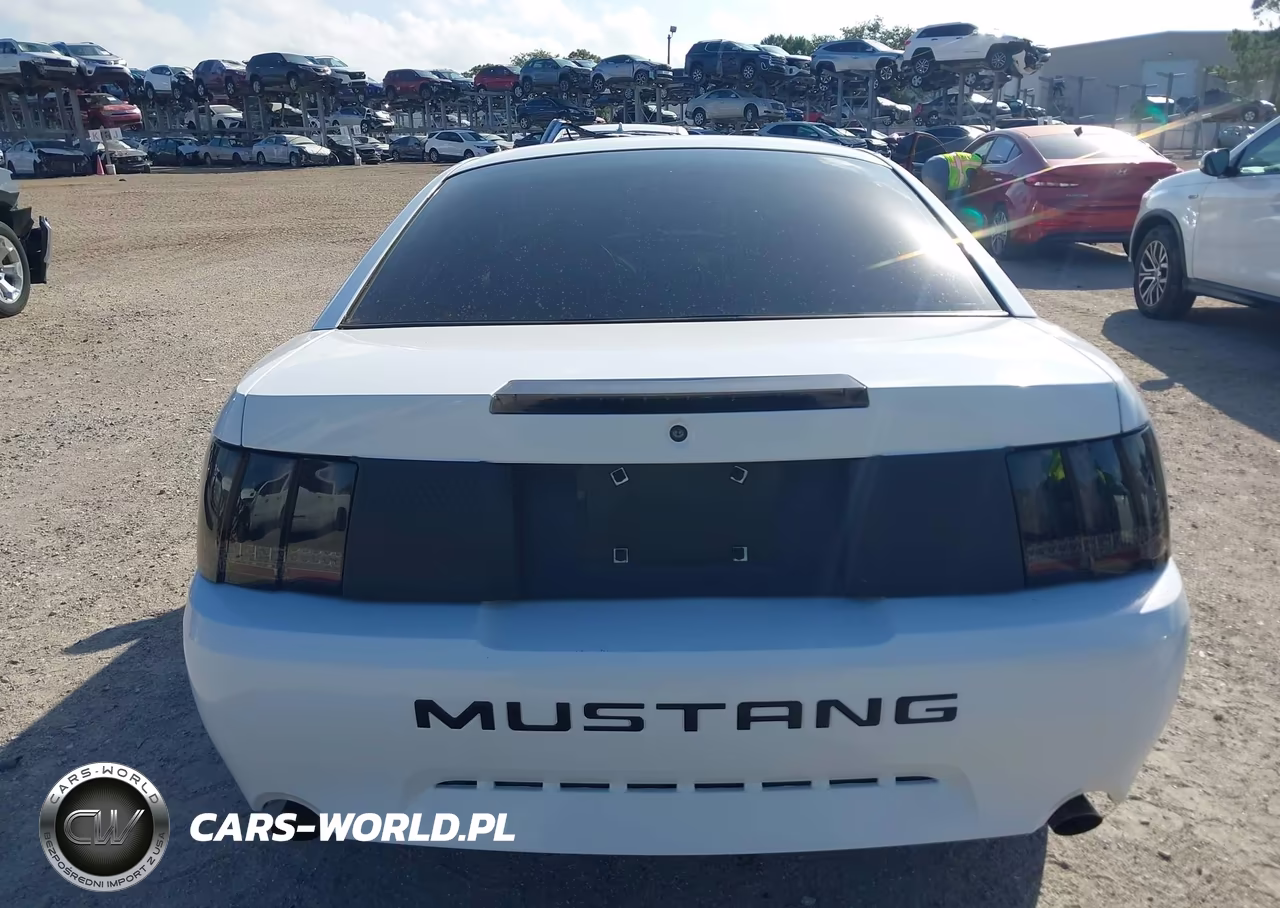 2004 Ford Mustang Gt VIN:1FAFP42X84F150552 - 16