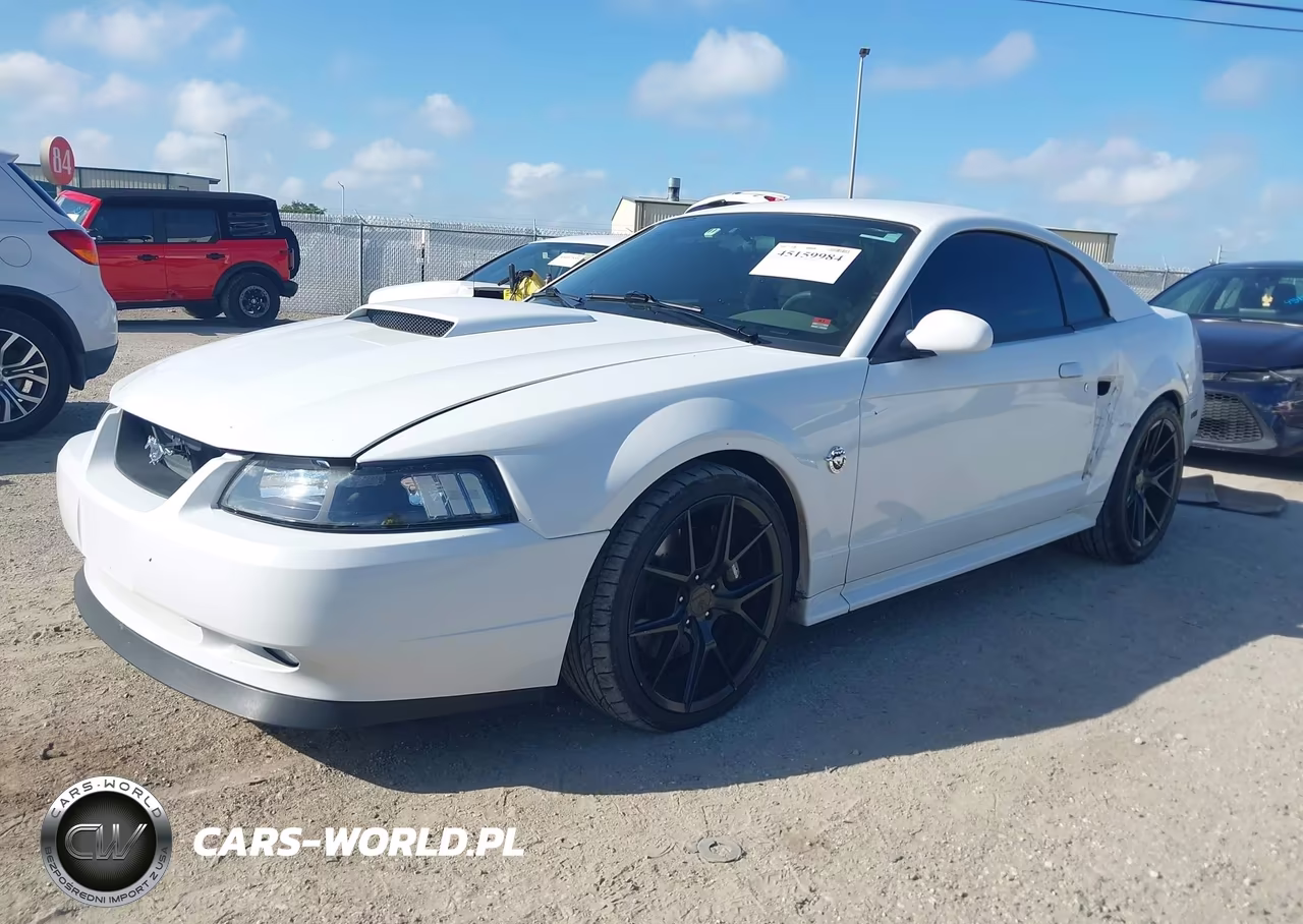 2004 Ford Mustang Gt VIN:1FAFP42X84F150552 - 2