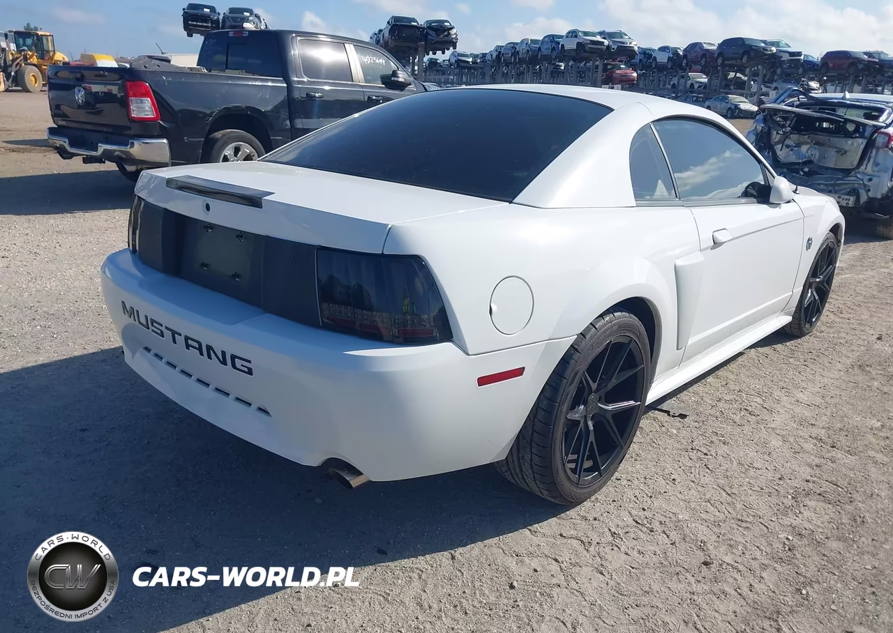 2004 Ford Mustang Gt VIN:1FAFP42X84F150552 - 4
