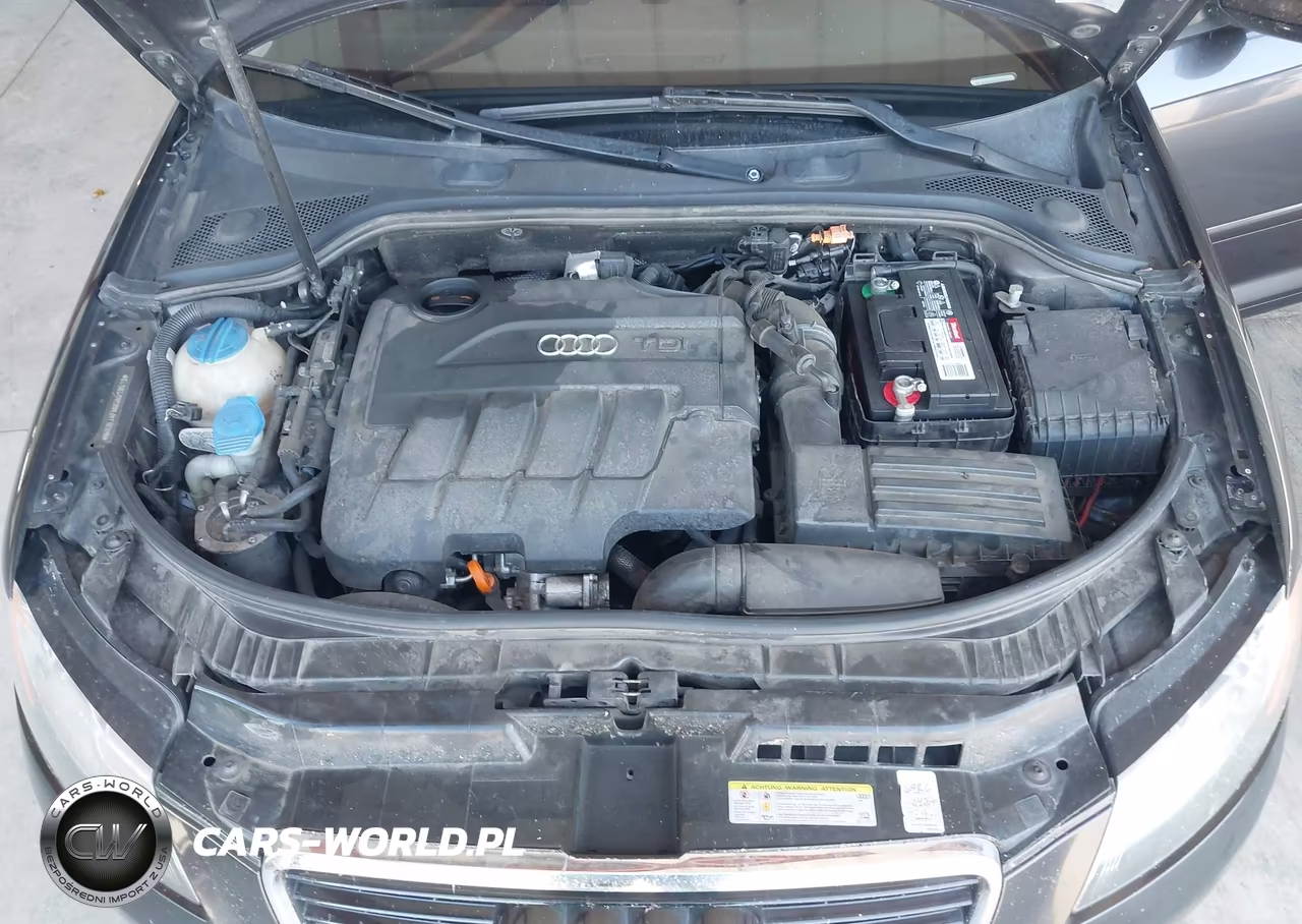 2013 Audi A3 2.0 Tdi Premium VIN:WAUBJAFM9DA013512 - 10