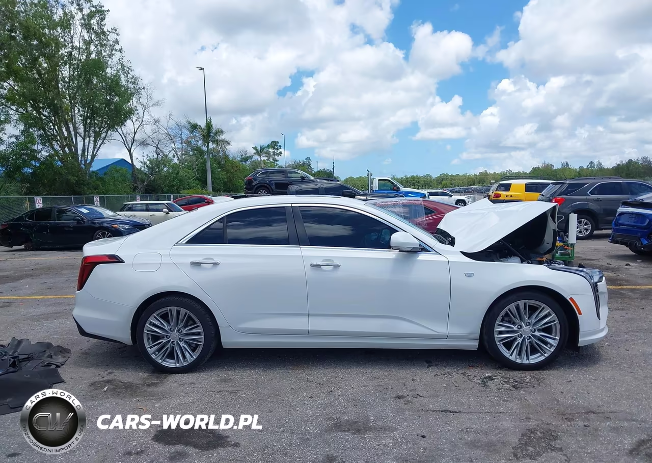 2023 Cadillac Ct4 Premium Luxury VIN:1G6DB5RK9P0102634 - 13