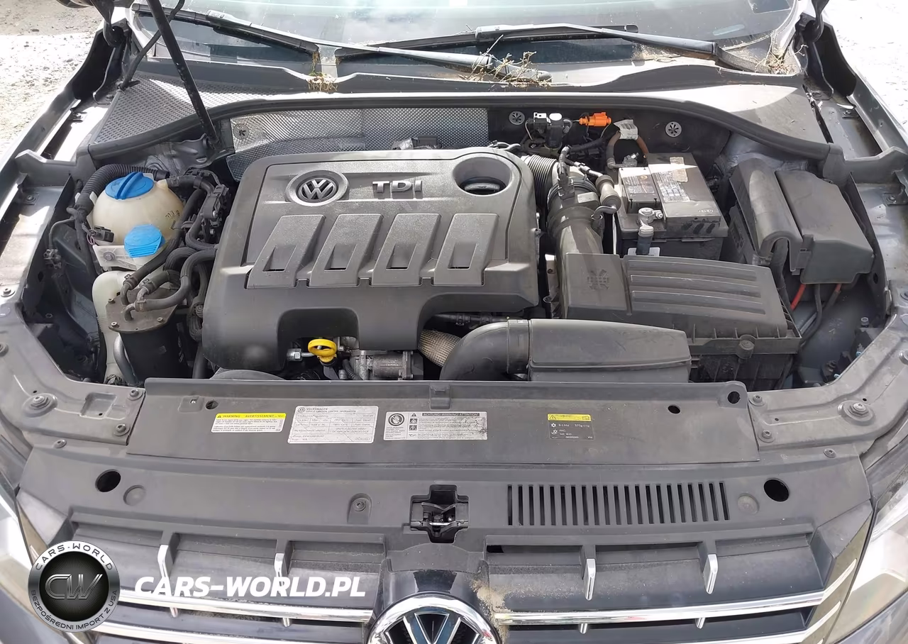 2014 Volkswagen Passat 2.0L Tdi Sel Premium VIN:1VWCN7A35EC100100 - 10