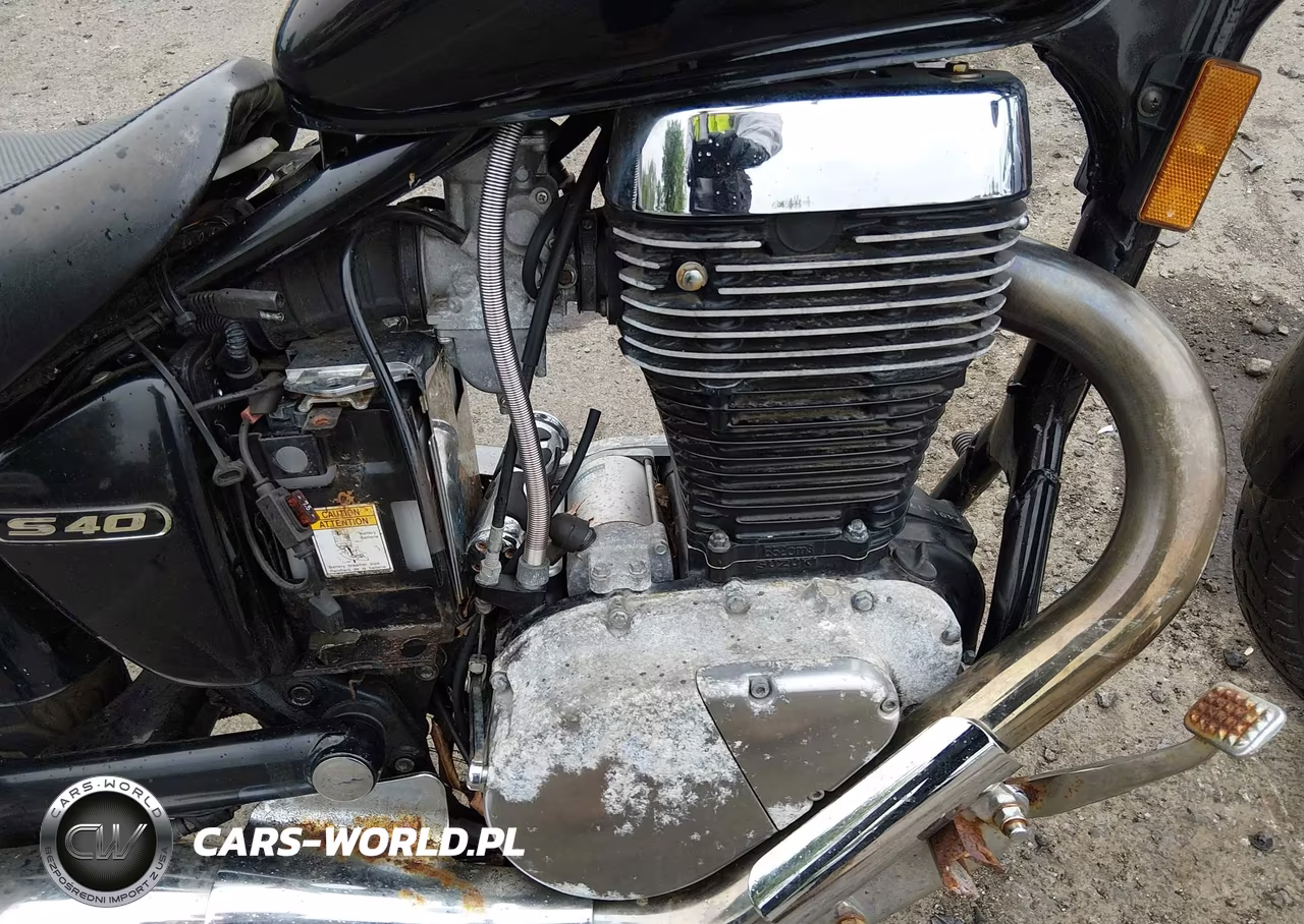 2007 Suzuki Ls650 VIN:JS1NP41A972100915 - 9