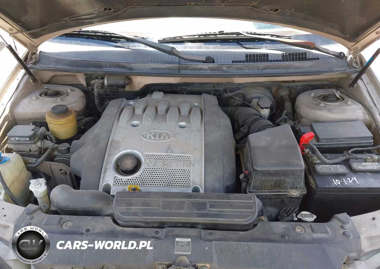 2004 Kia Sedona Ex-Lx VIN:KNDUP131746601030 - 10