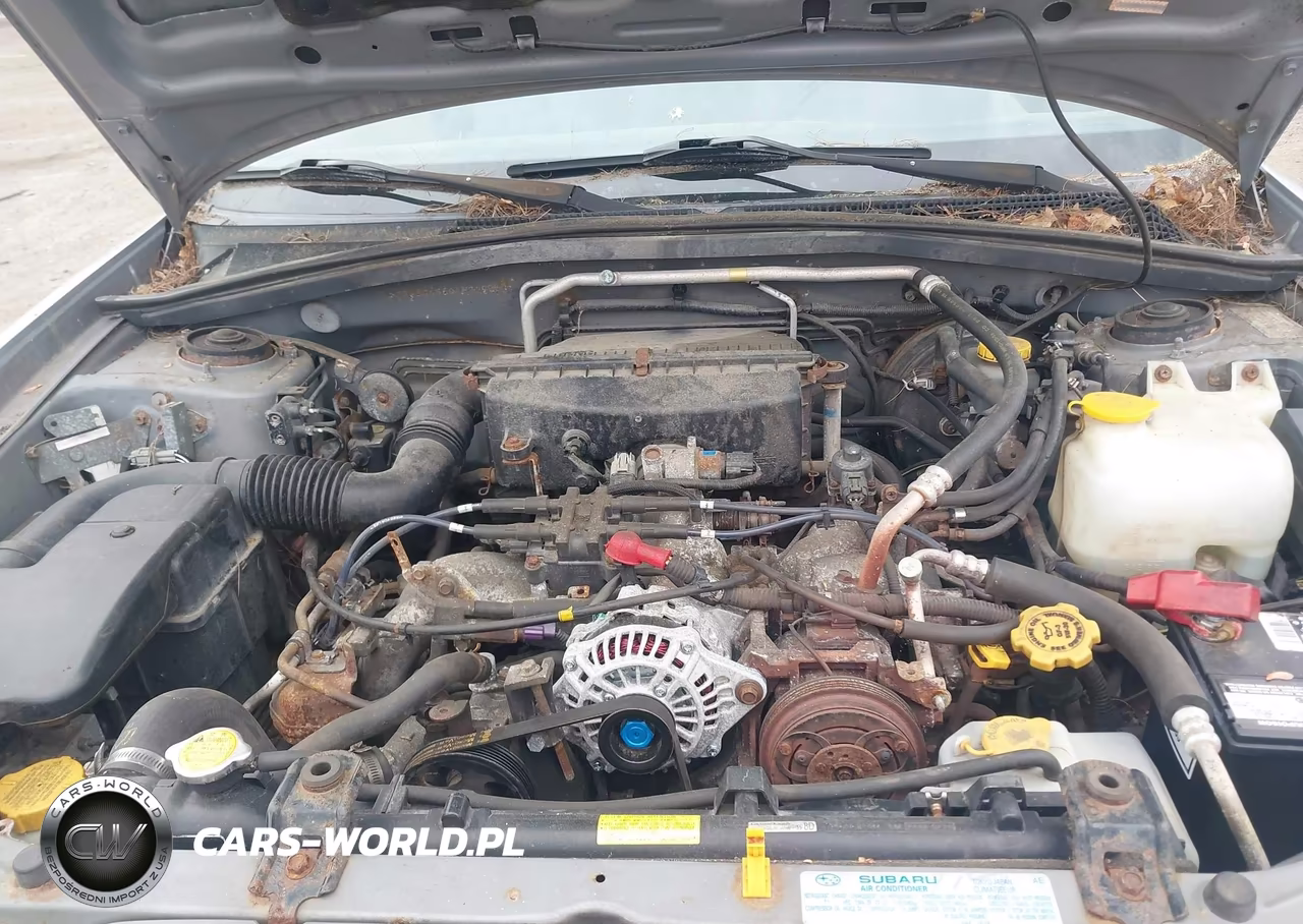 2004 Subaru Forester 2.5Xs VIN:JF1SG65604H709769 - 10