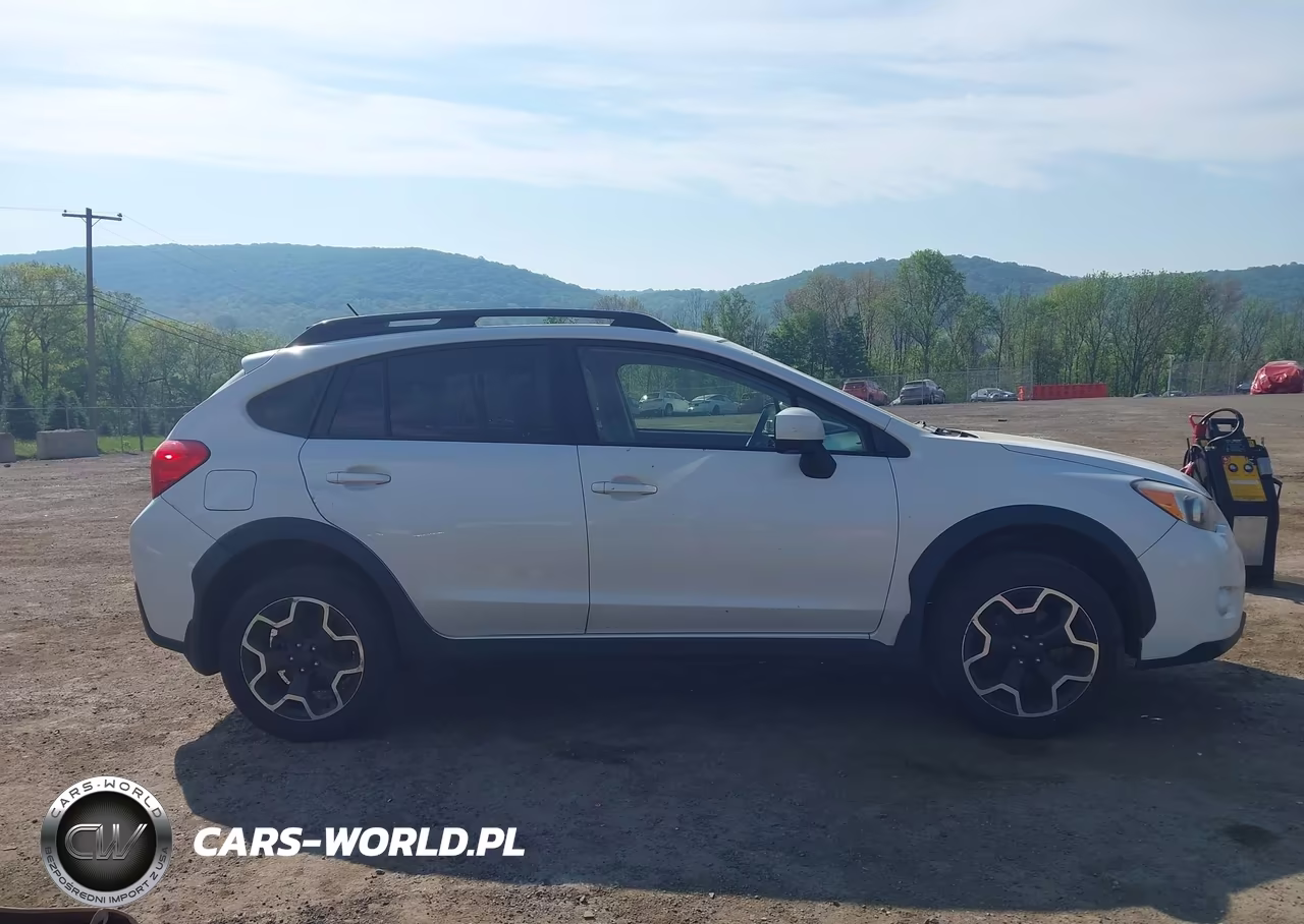 2014 Subaru Xv Crosstrek 2.0I Premium VIN:JF2GPACC0E9293568 - 13