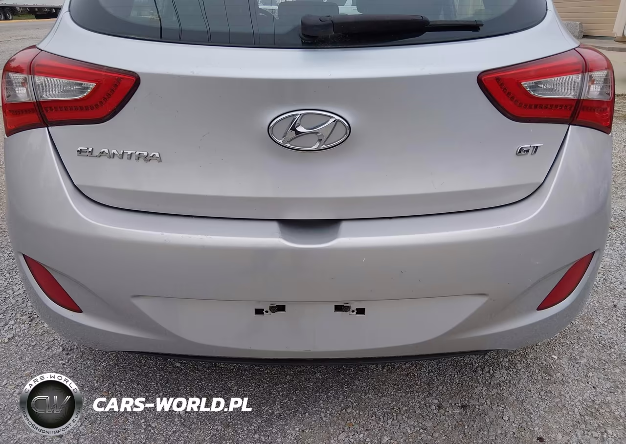 2014 Hyundai Elantra Gt VIN:KMHD35LH5EU170681 - 12
