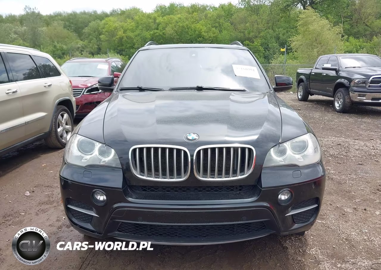 2013 BMW X5 xDrive35I-xDrive35I Premium-xDrive35I Sport Activity VIN:5UXZV4C54D0B17613 - 12