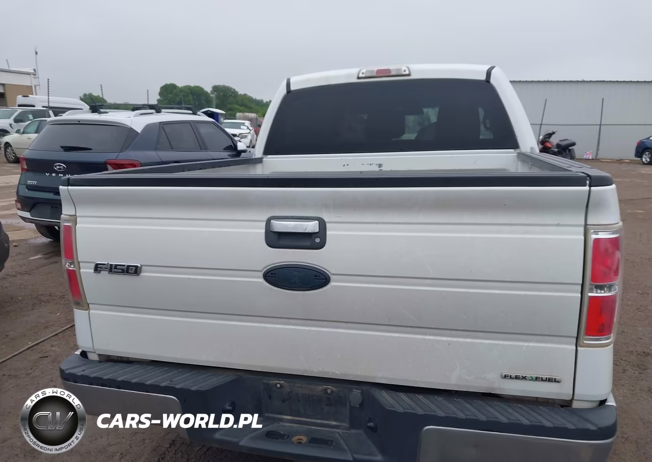 2011 Ford F-150 Xlt VIN:1FTFW1CF5BFA86971 - 16