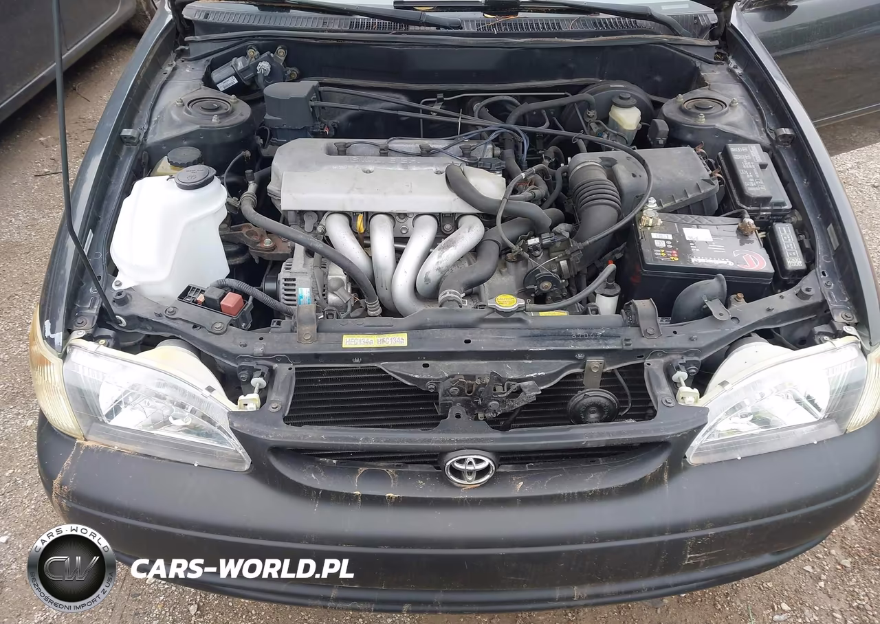 1998 Toyota Corolla Ve-Ce-Le VIN:1NXBR18E1WZ098277 - 10